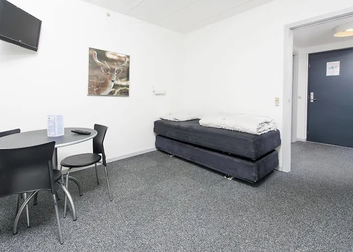 호스텔 Danhostel 바일레